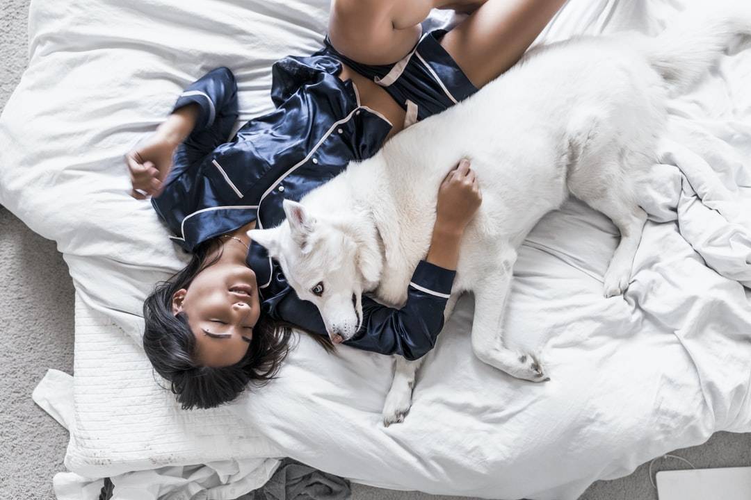 Pets in the Bed - Is it Okay to Let Your Dog or Cat Sleep With You?